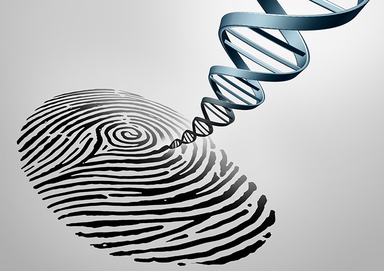Идентификации ДНК: Новая «Дактилоскопия»