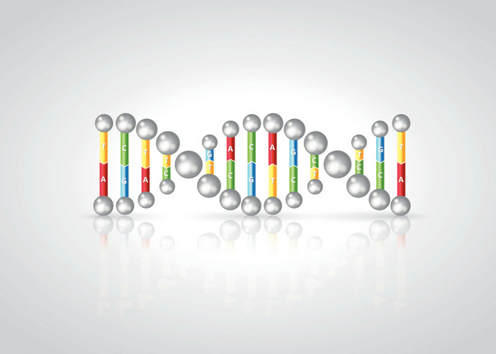 10 Helpful DNA Facts for Everyone