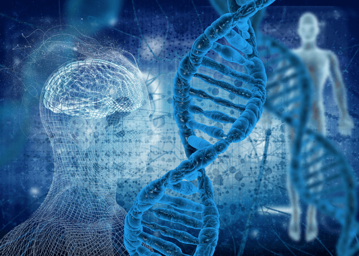 dna double helix model