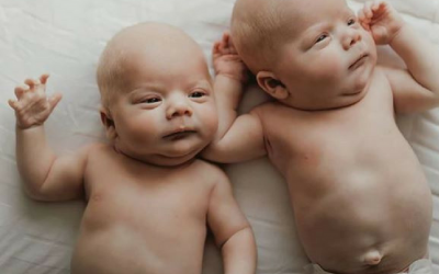 Twins DNA Testing: Identical or Fraternal? | DDC