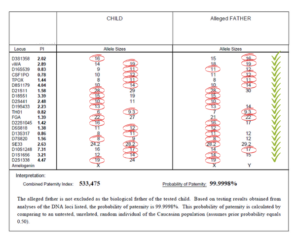 Ddc Dna Test Results Template Pdf Free