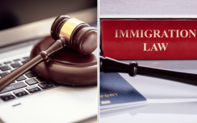 Legal DNA Testing vs. Immigration DNA Testing