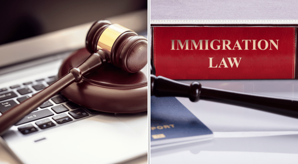 Legal DNA Testing vs. Immigration DNA Testing