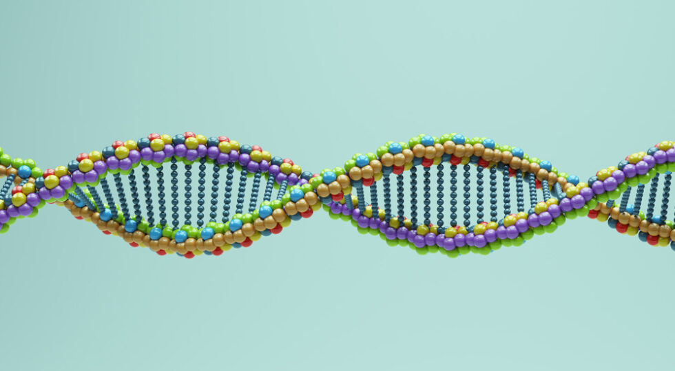 Do Identical Twins Have The Same DNA   DNA Double Helix Spiral Molecule 980x539 