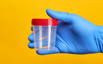 Does Urine Hold DNA? Learn What Information Your Urine Holds