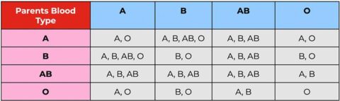 Understanding Relationships: A Detailed Look at the Chart of Blood Types