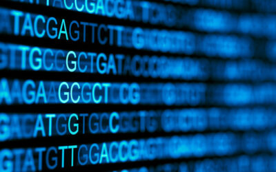 Assessing Accuracy: How Often Are DNA Tests Wrong?