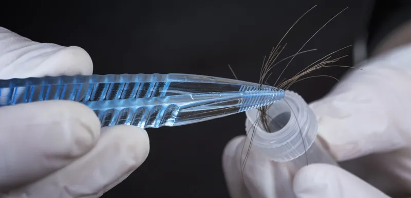 how does a hair dna test work