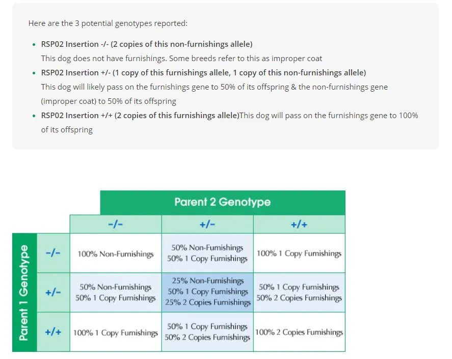 blog-coat-furnishings-in-dogs-genetics-chart