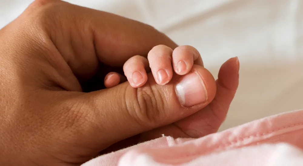 blog-process-legal-paternity-test