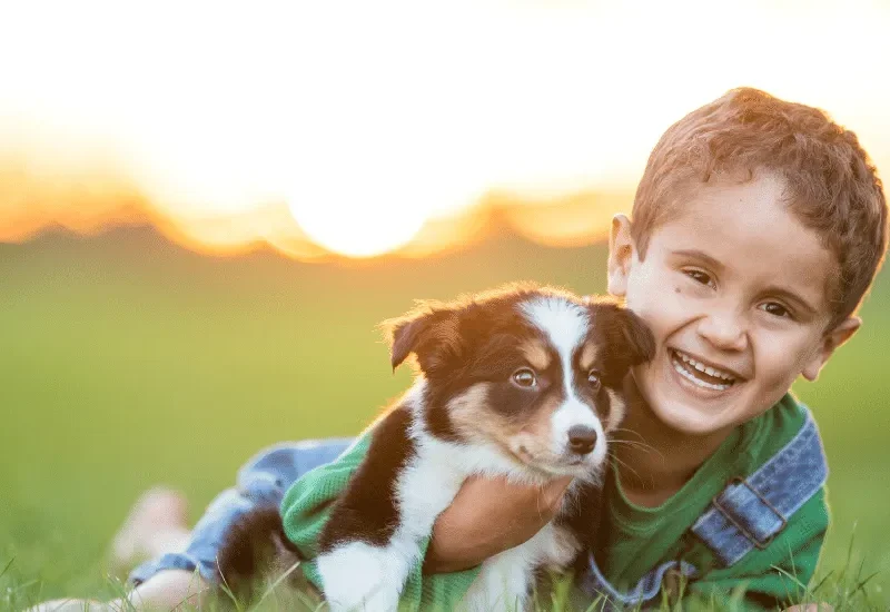 blog-questions-ask-puppy-buyers