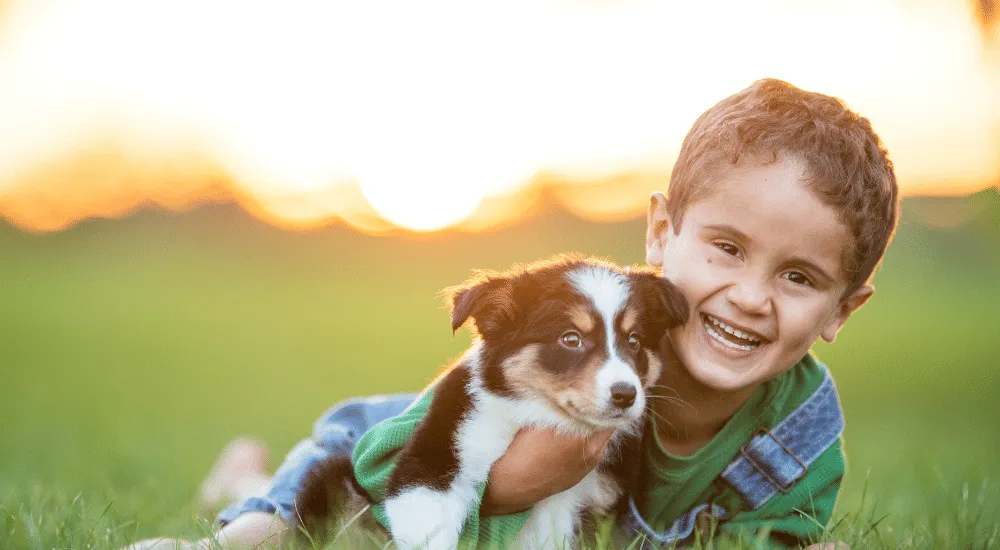 blog-questions-ask-puppy-buyers