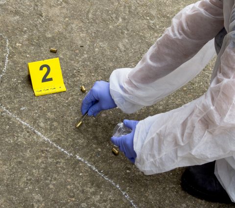 dna solves mysteries