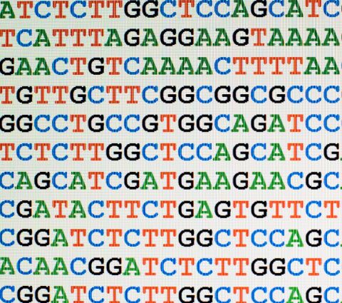 dna biology