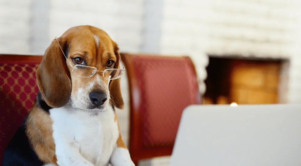 vet tips for submitting dna samples