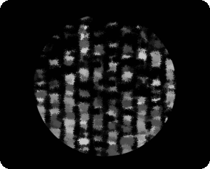 Other companies DNA technology