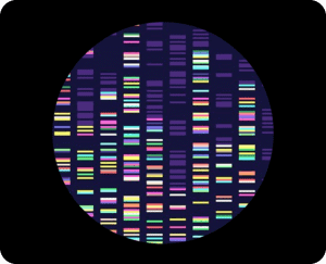 DDC VeriSNP DNA technology
