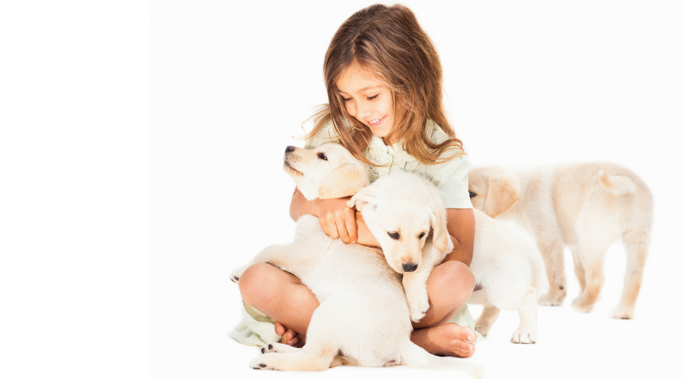 Breeding your Dog: 5 Things to Consider